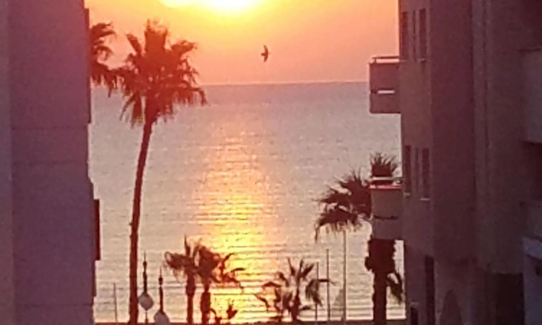 Hotel apartamentowy Atrium Zenon Hotel Apartments Larnaca